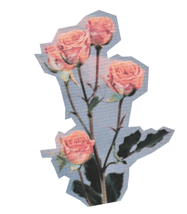 Colagem vintage de rosas, a estética do Entre Páginas