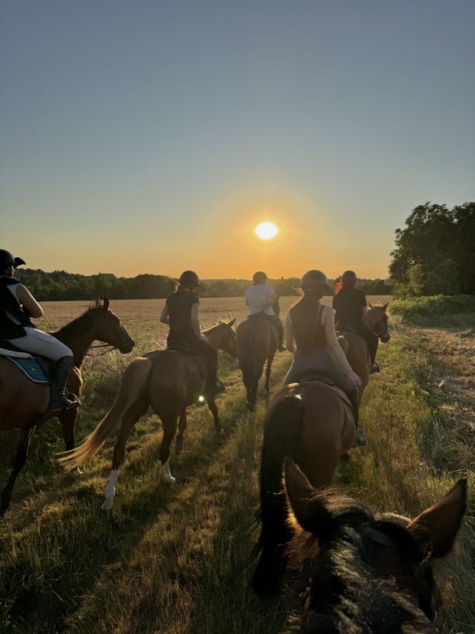 Grupo a cavalo diante do pôr do sol